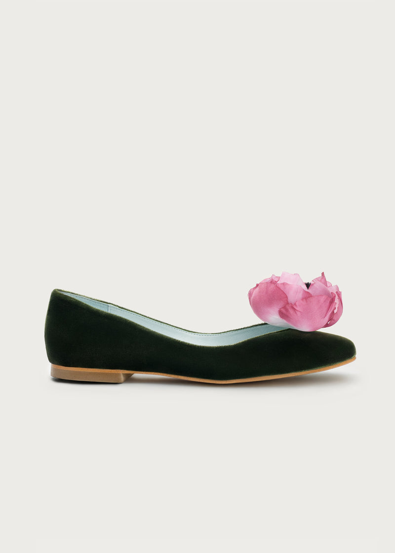 Ballerina Bloom Hunt · Bougainvillea Flower