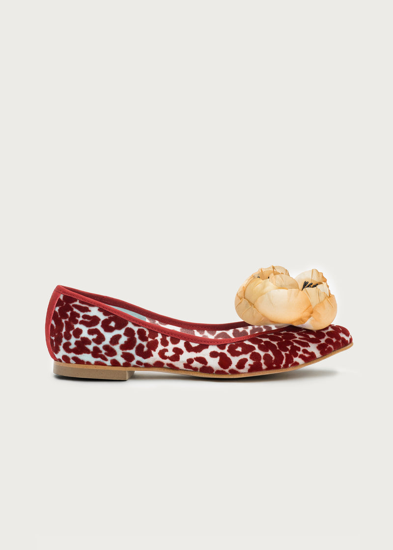 Ballerina Bloom Rubino · Caramel Flower
