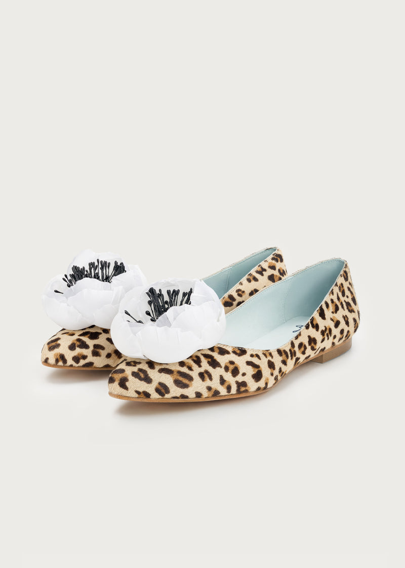 Ballerina Bloom Print · White Flower