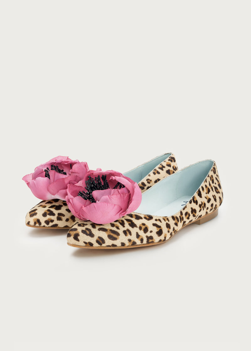 Ballerina Bloom Print · Bougainvillea Flower