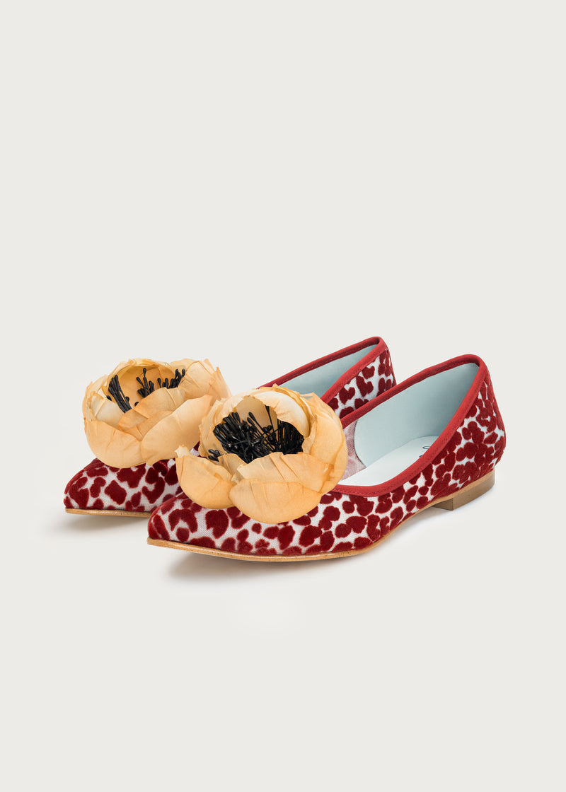 Ballerina Bloom Rubino · Caramel Flower
