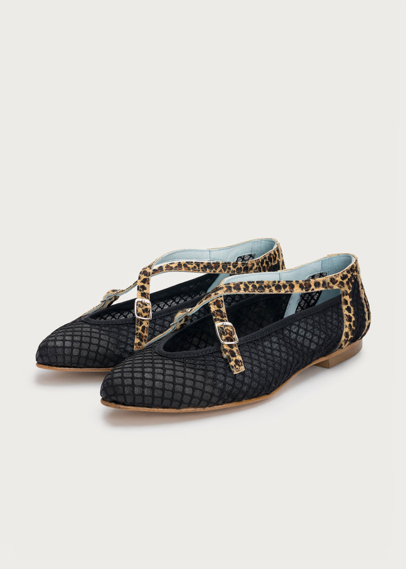 Bailarina Cosmos Black