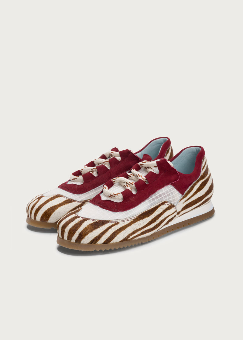 Running Clavelina Camel